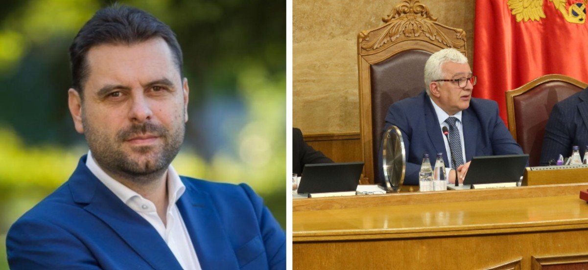 Vujović: Dan nakon što je Vučić uhapsio i maltretirao građanina Crne Gore - Mandić mu ljubi ruku