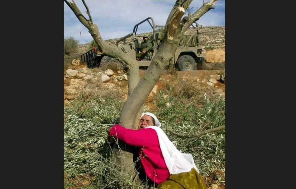 Palestina danas obilježava Dan zemlje