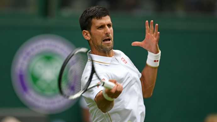 Vimbldon: Đoković drugi nosilac, moguće polufinale sa Federerom