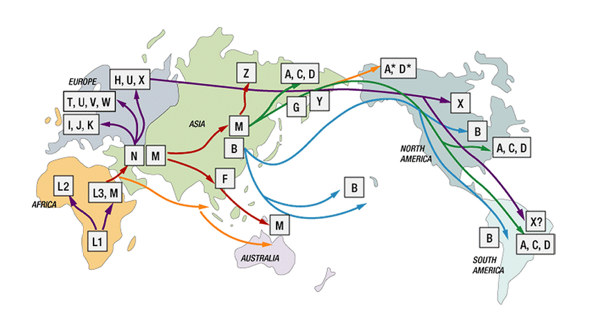 Priča o majkama Crne Gore: DNK koje traje hiljadama godina