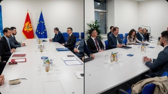 Milatović: Otvaranje kancelarije Evropskog parlamenta u Crnoj Gori, može značajno doprinijeti jačanju parlamentarne dimenzije integracionog procesa