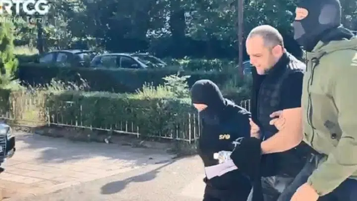 SDT: Četvoro uhapšenih za stvaranje kriminalne organizacije, među njima i Koprivica