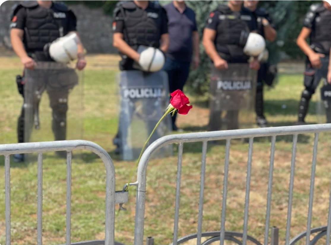 Ruže i metalne ograde