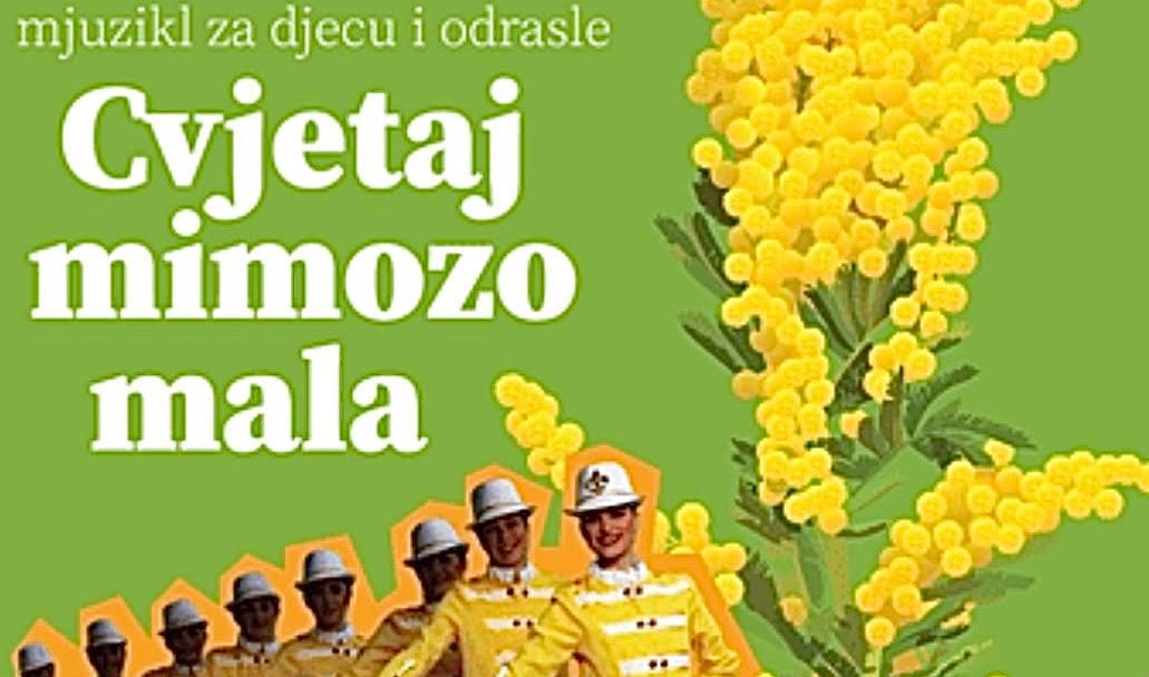 Mjuzikl Cvjetaj mimozo mala premijerno na 55. Prazniku mimoze