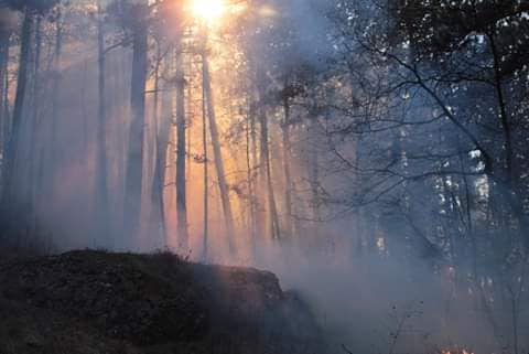 Mladić spriječio širenje požara na Trebjesi u Nikšiću