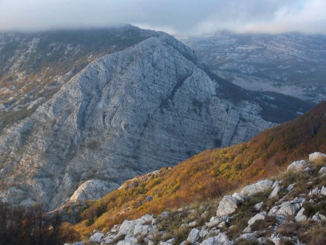 Tuđi nemar se plaća iz budžeta