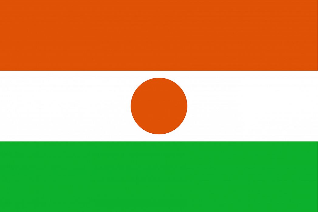 Niger: U zasjedi ubijeno 17 vojnika