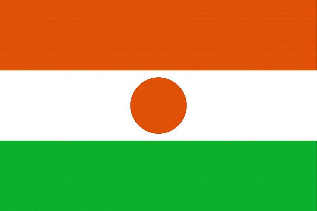 Niger: U zasjedi ubijeno 17 vojnika