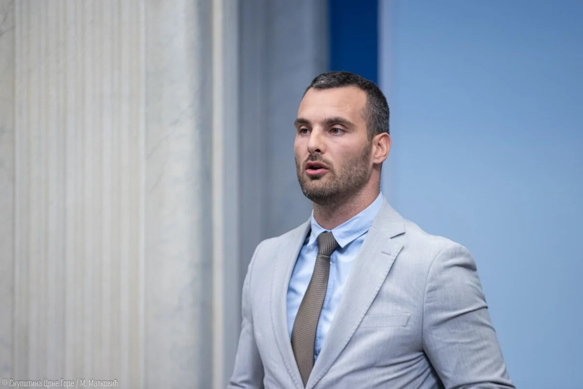 Janović: Rekonstrukcija Vlade - zašto da ne?