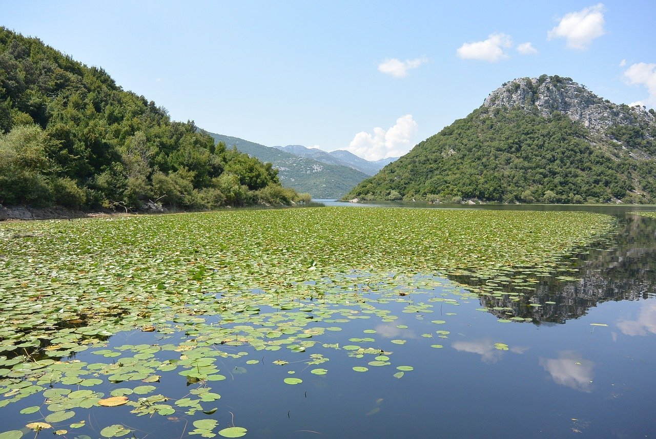 ENVPRO: Nominacija sliva Skadarskog jezera za UNESCO program Čovjek i biosfera, šansa je za razvoj i ne znači nove zabrane