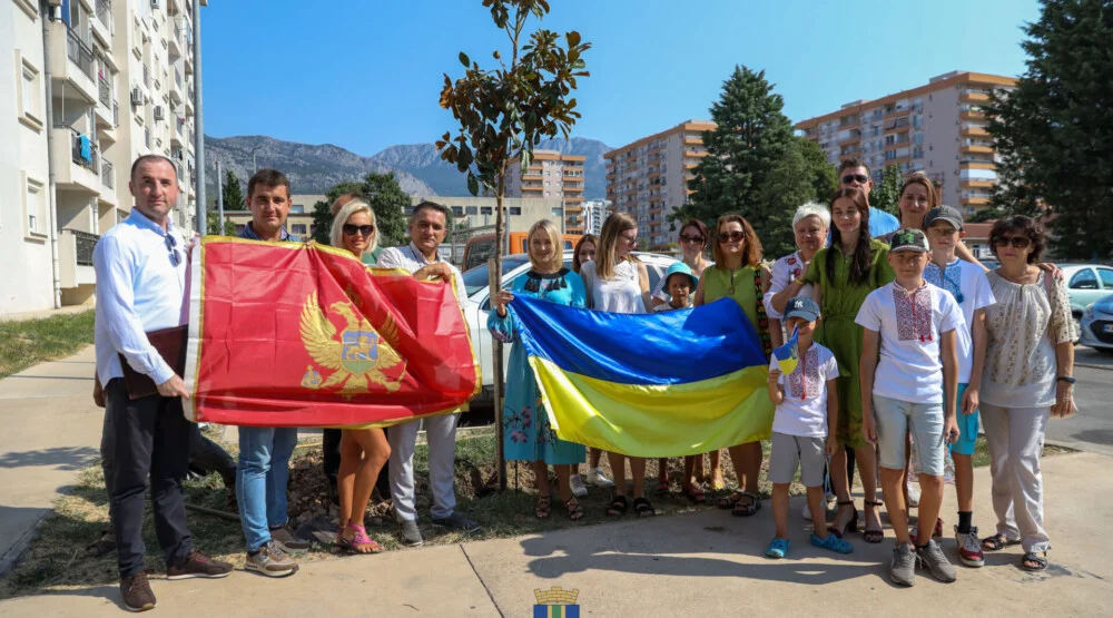 Drvo mira i prijateljstva: Predstavnici Opštine Bar, ambasade Ukrajine i ukrajinske zajednice posadili drvo magnolije