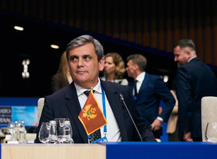 Ibrahimović: Ubrzo bez viza za turske državljane