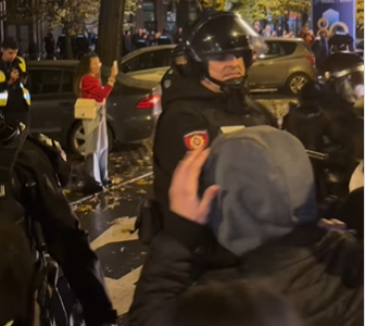 Uznemirujuće: Policajac tuče ženu u Novom Sadu