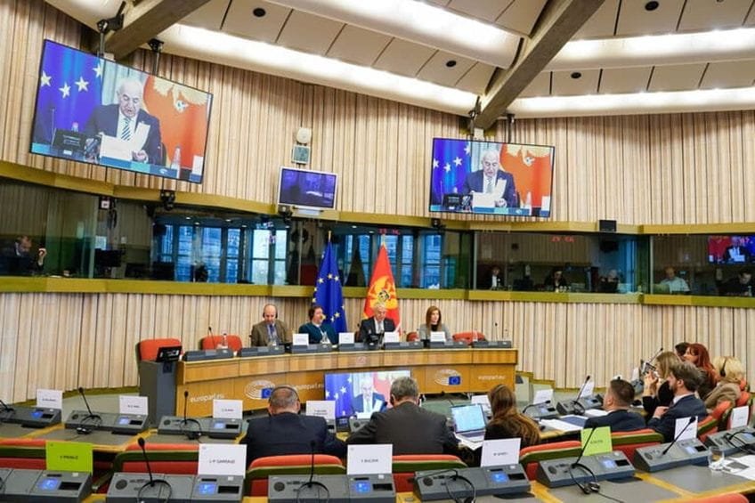 Dvojno državljanstvo i strani agenti brinu europarlamentarce, ali ne i poslanike PES i ZBCG