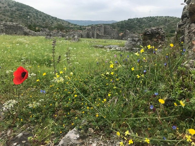 Sjutra pretežno sunčano, do 22 stepena