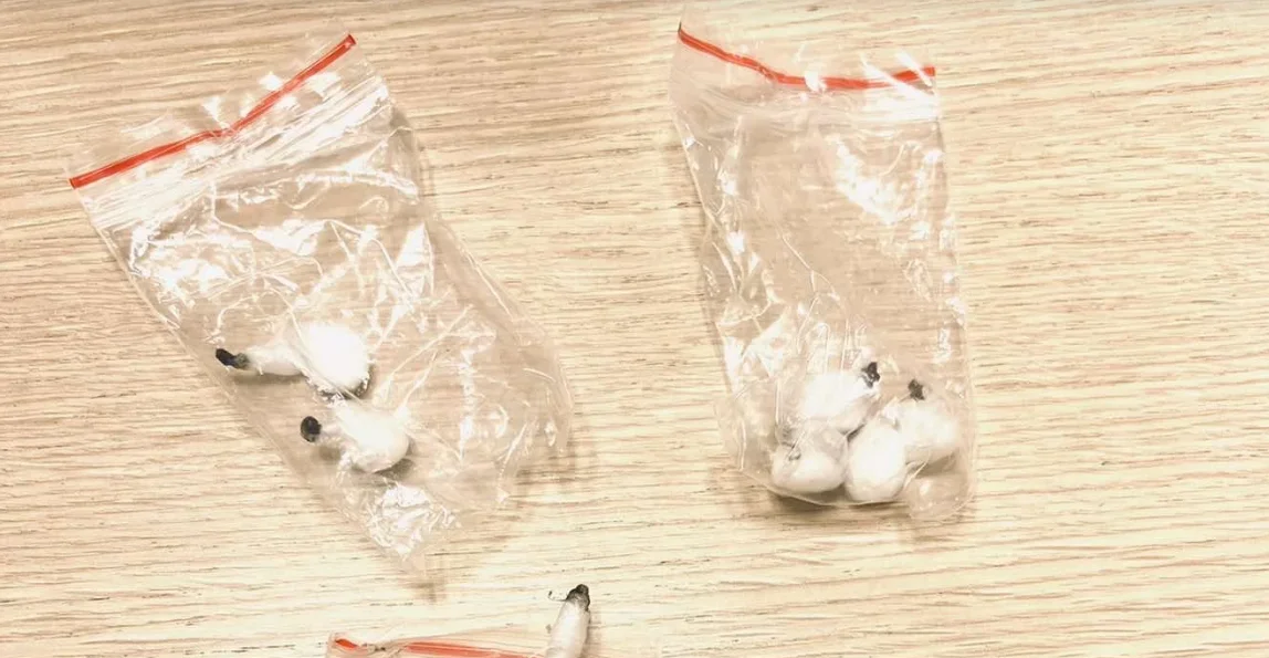 Podgoričanin uhapšen zbog prodaje kokaina