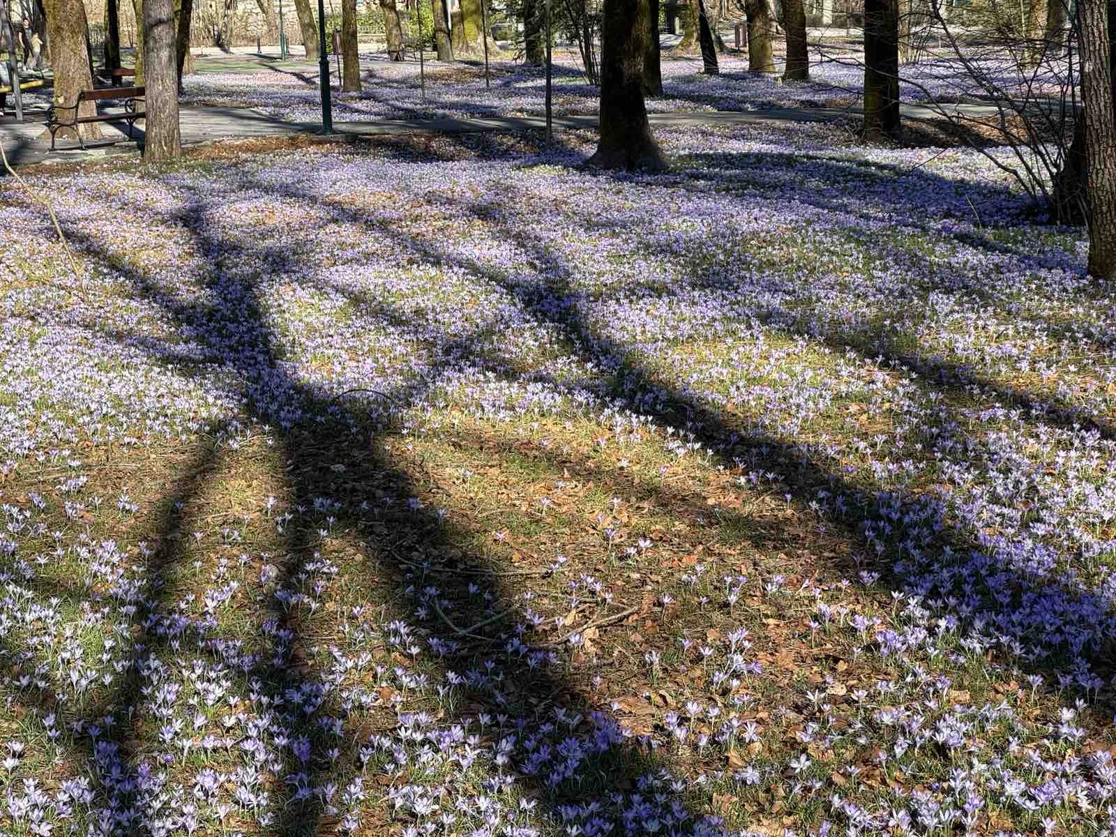 Vrijeme sjutra: Pretežno sunčano