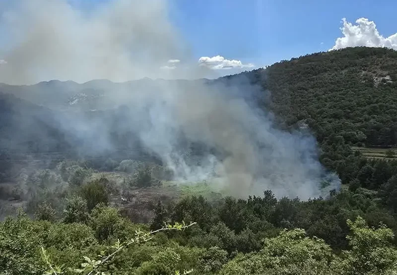Cetinje: Lokalizovan požar u mjestu Gospoštine