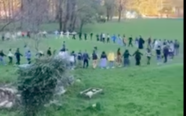 Incident nakon provokacije u Vladičinoj bašti
