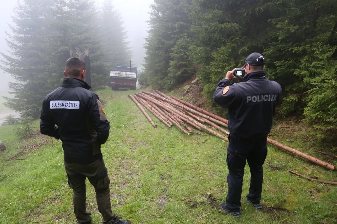Bespravna sječa šume u NP Prokletije