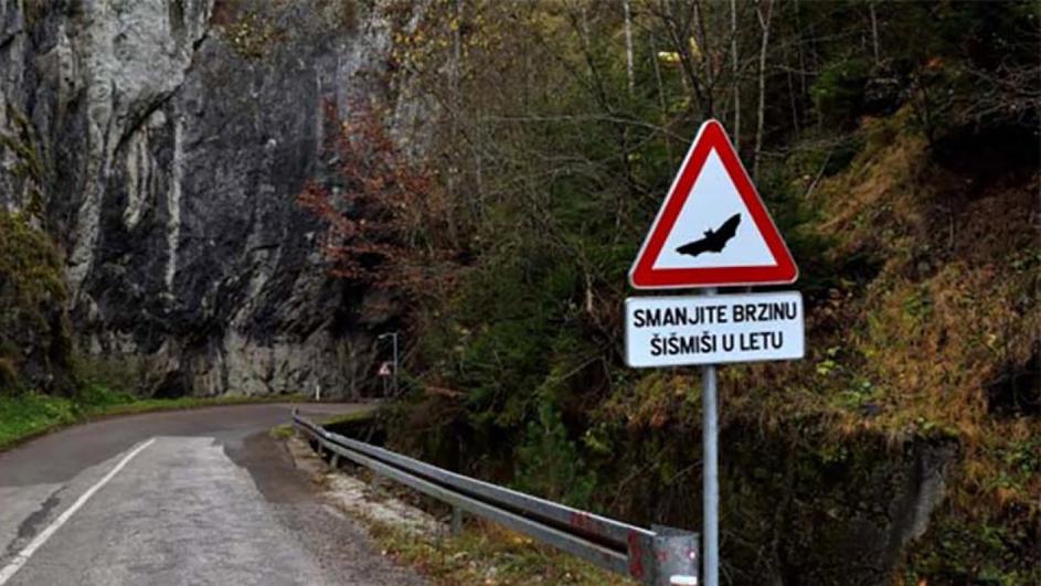 Prvi u svijetu: Saobraćajni znak u BiH kakav još nijeste vidjeli