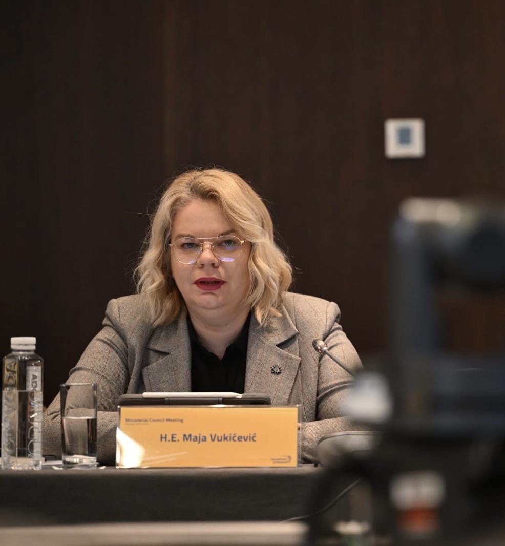 Vukićević: Snažna posvećenost Crne Gore regionalnoj saradnji i evropskim integracijama