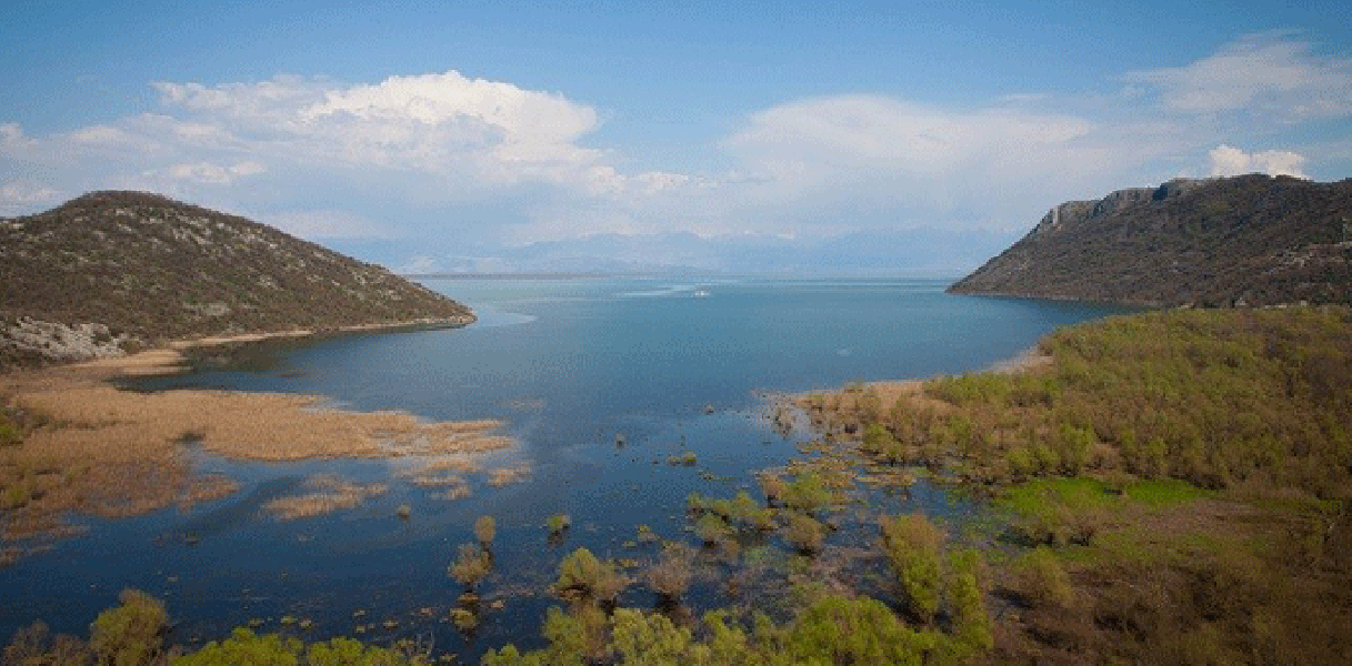Služba zaštite NP Skadarsko jezero u krivolovu zatekla četiri osobe