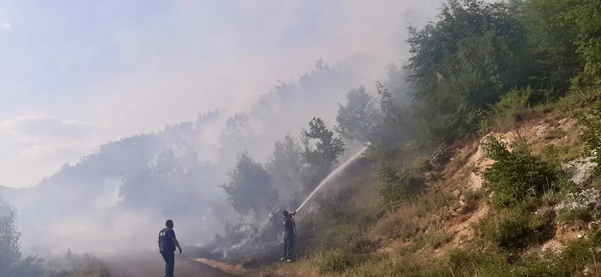 Cetinjski vatrogasci gase požare peti dan: Vatra izbila u Hanu Mašanovića