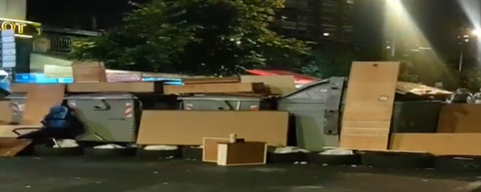 Zemunci valjaju balvane, u blokadi i gušteri i svinje