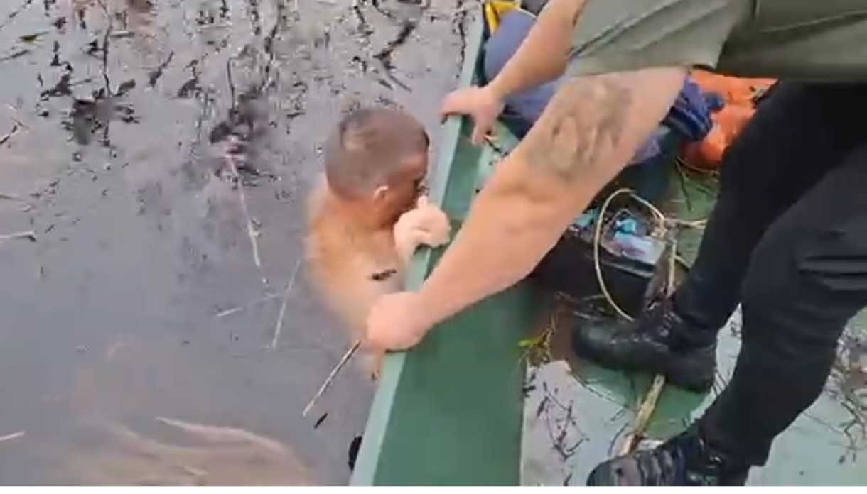 Nadzornik izronio lovačku pušku korišćenu u krivolovu u NP Skadarsko jezero