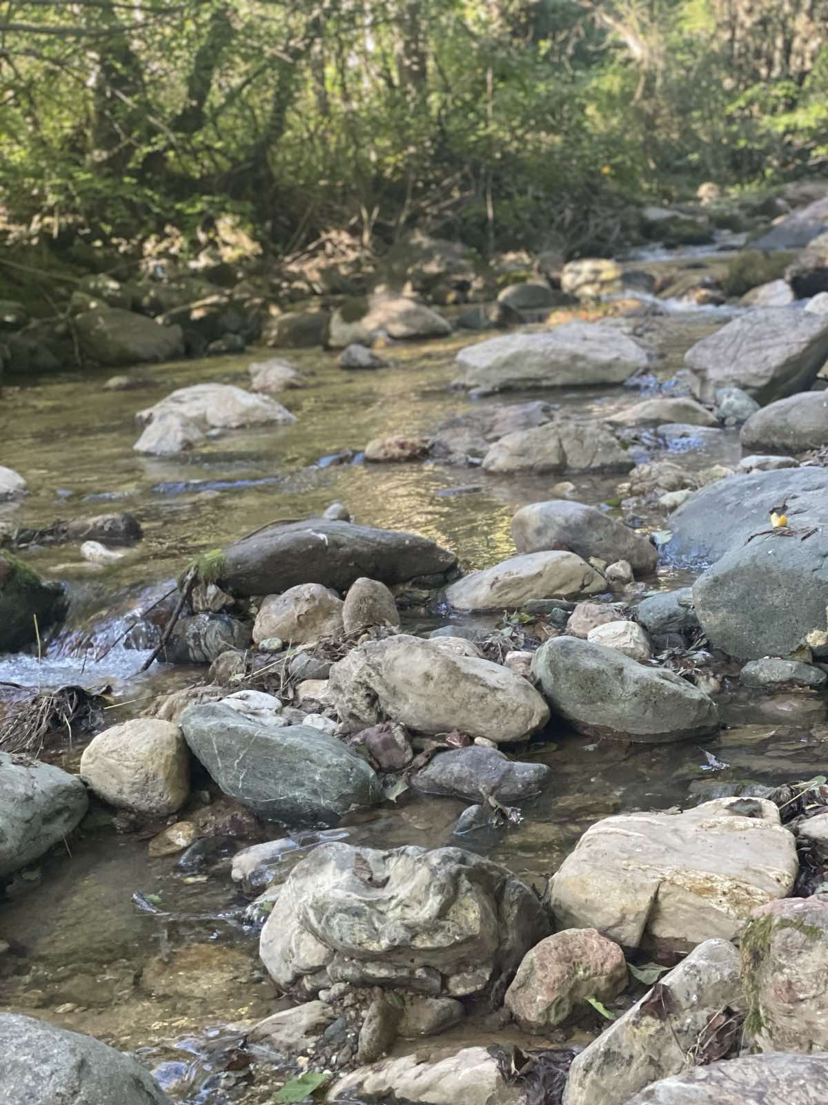 Vrijeme sjutra: Sunčano i toplo