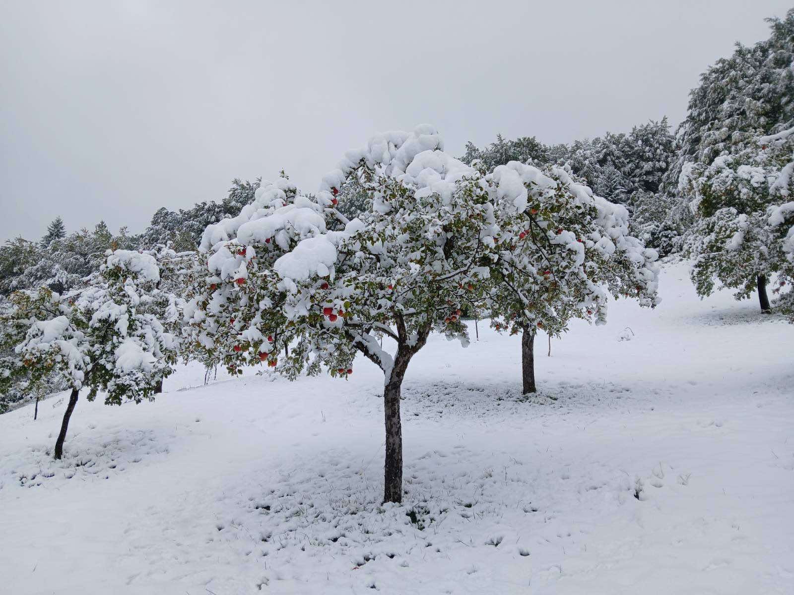 Na snazi narandžasti meteoalarm: Moguća kiša i pljuskovi, na sjeveru snijeg