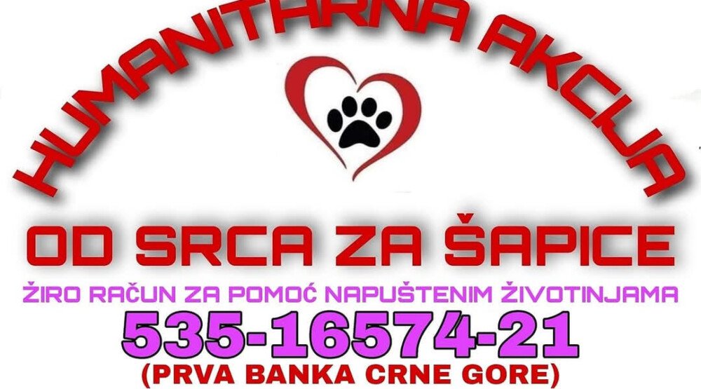 Nastavlja se humanitarna akcija – Od srca za šapice