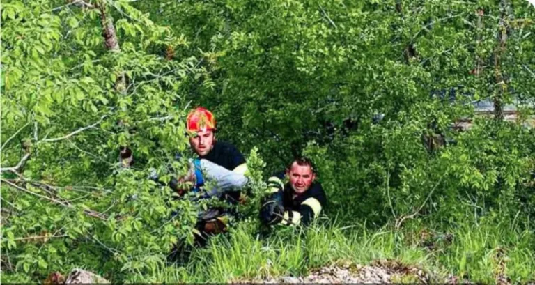 Šavnički vatrogasci spasili lice koje je visilo na grani iznad ambisa dubokog oko 300 metara
