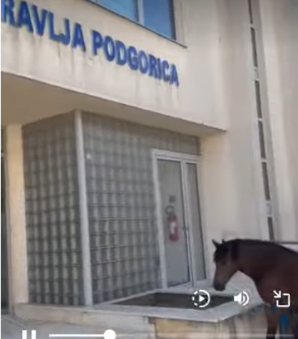Da li nam se smiješi neka nova vrsta prevoza?