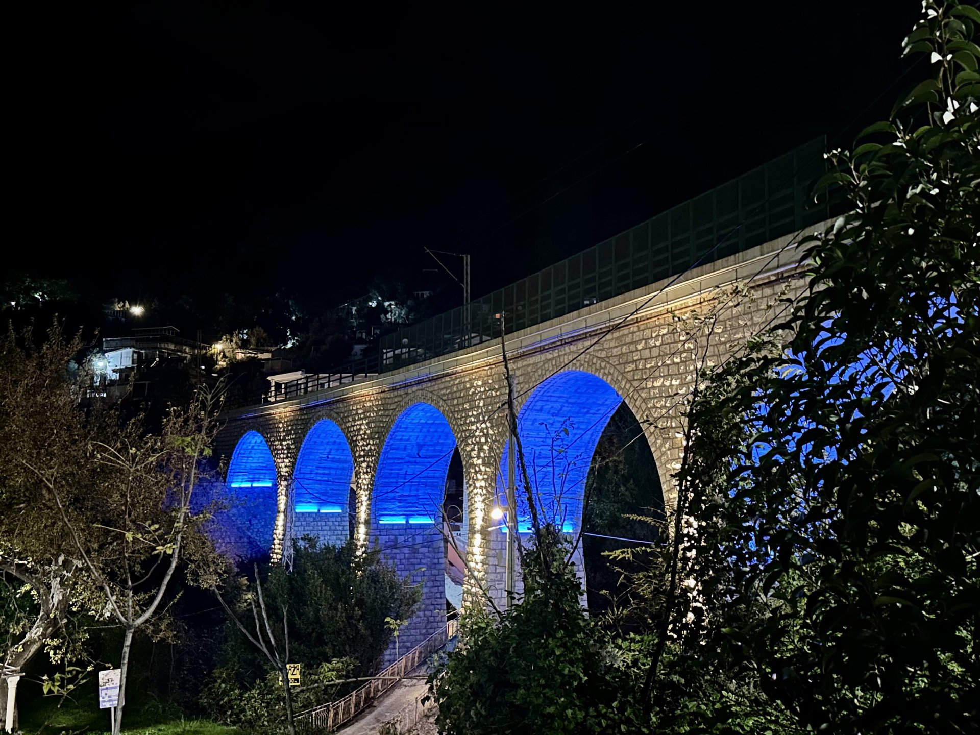 Opština Bar: Simboličnim osvjetljavanjem mosta obilježen 14. novembar - Međunarodni dan osoba oboljelih od dijabetesa