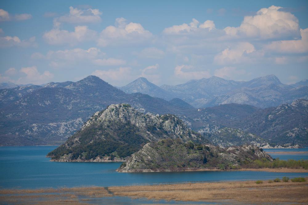 Suzbijen privredni ribolov bez dozvole u NP Skadarsko jezero