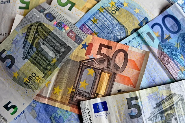 Plate u javnom sektoru rastu 51, u privatnom 39 odsto, pitanje do kada će budžet da 'izdrži'