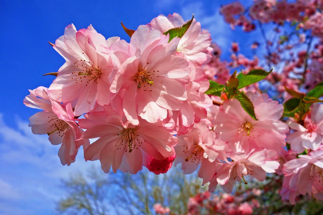 Veliki ljubavni horoskop za april