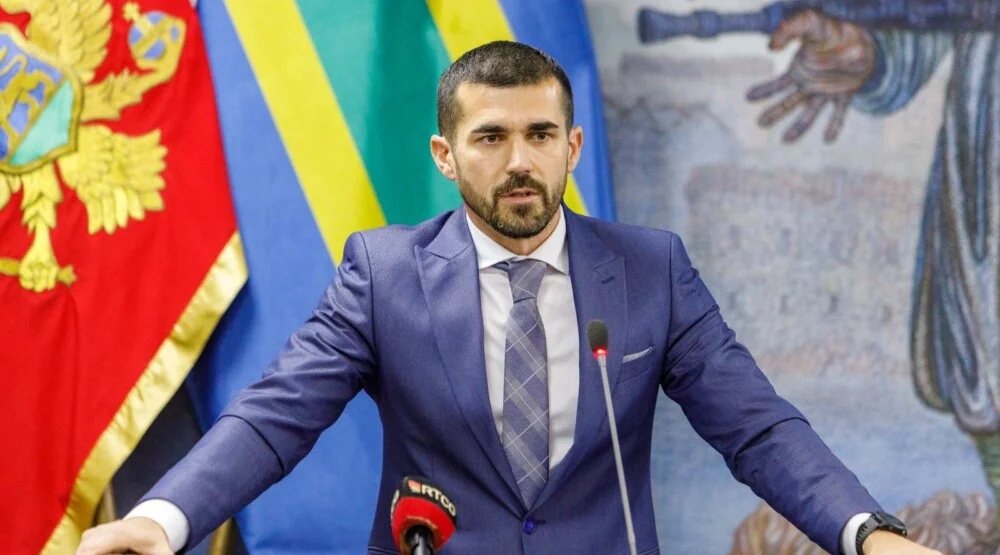 Nenezić: AD Barska plovidba donijelo odluku o kupovini feribota, o tome na SO Bar u petak