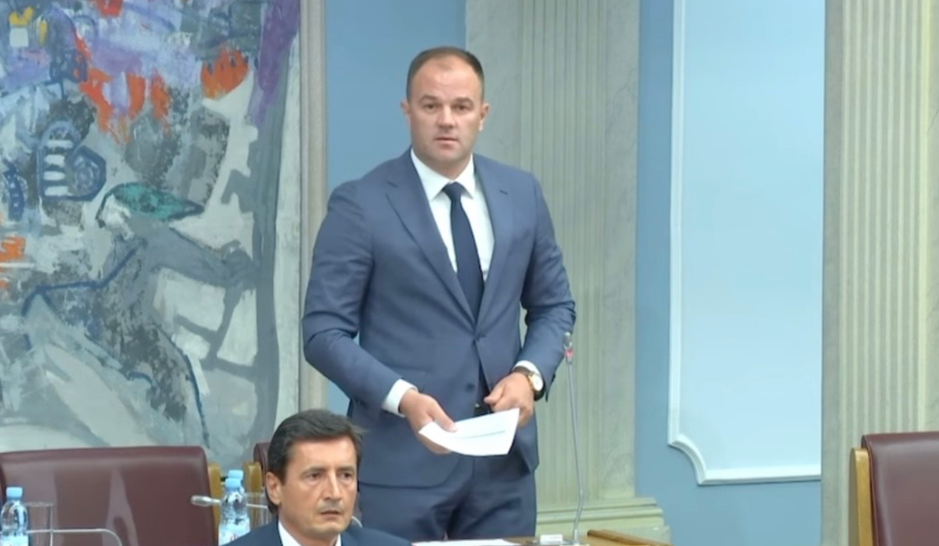 Mitrović: Zakon o privremenom izdržavanju djece proizvod rada parlamenta a ne izvršne vlasti
