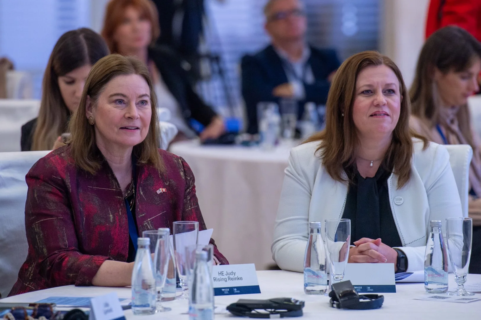 Rajzing Rajnke: Demokratija umire u mraku, Partnerstvo za otvorenu upravu donosi svijetlo