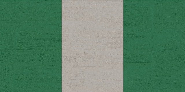 Džihadisti u Nigeriji ubili iz zasjede sedam vojnika