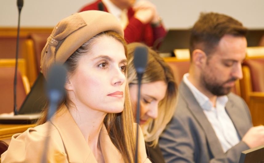 Vuković Kuč: Sjednica Ustavnog odbora zakazana bez prethodno ispunjenog dogovora sa delegacijom EU o poštovanju preporuka VK
