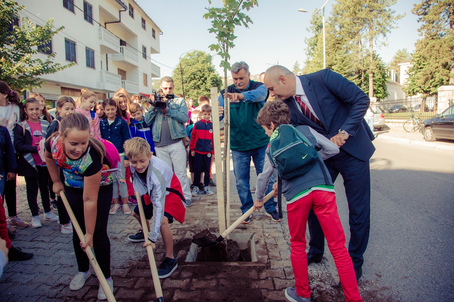 Na Cetinju posadili više od 200 stabala