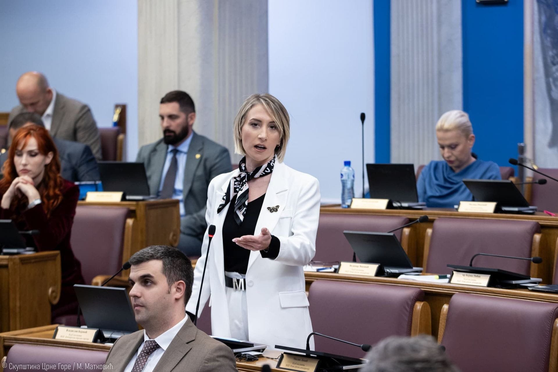 PEN centar: Amandmani SNP-a pokušaj prekrajanja istorije i poništavanja državnosti