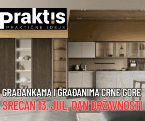 PRAKTIS  ČESTITKA