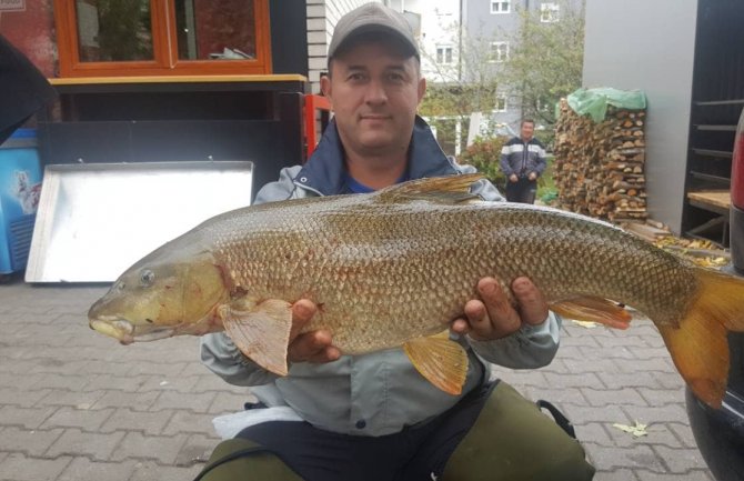Ribolovac iz Bijelog Polja ulovio tri mrene, svaka oko 5kg teška