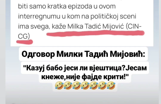 CEDEM: Sankcionisati Vranešov lični napad na novinarku motivisan političkim nesaglasjem