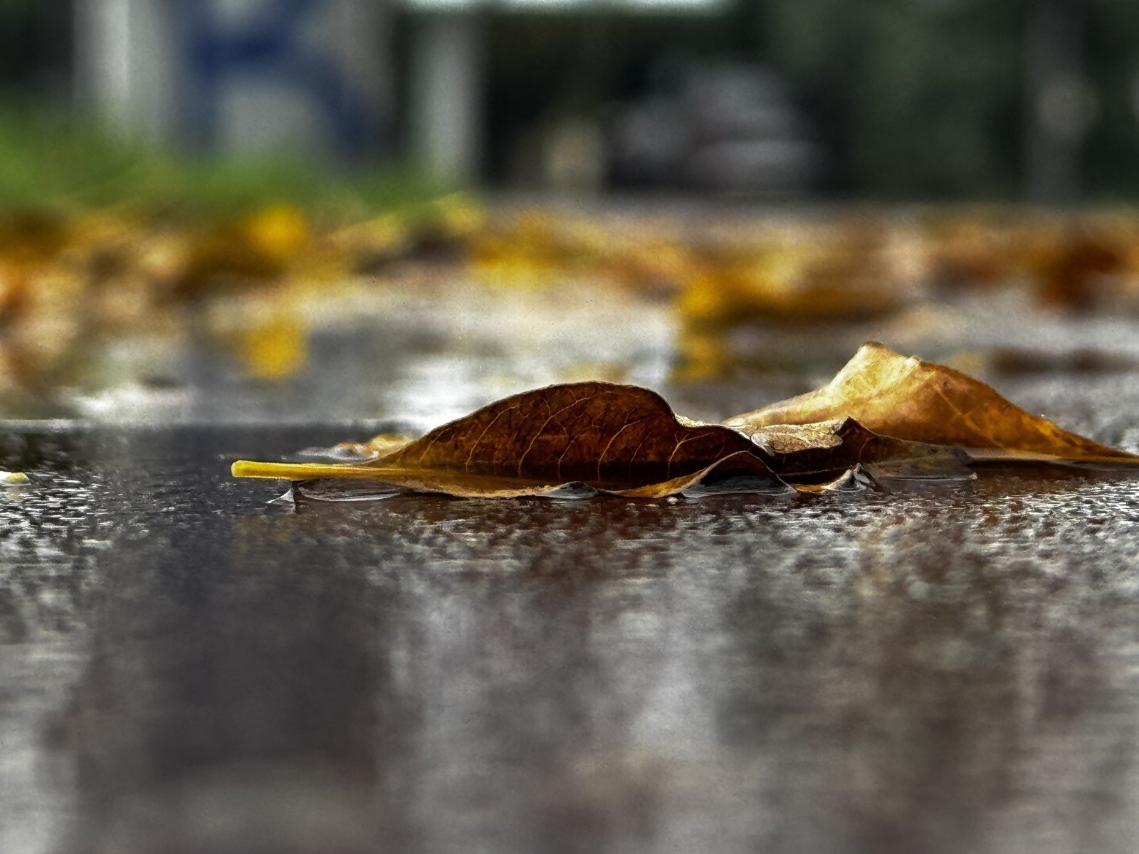 Vrijeme sjutra: Kiša, grmljavina i olujni vjetar